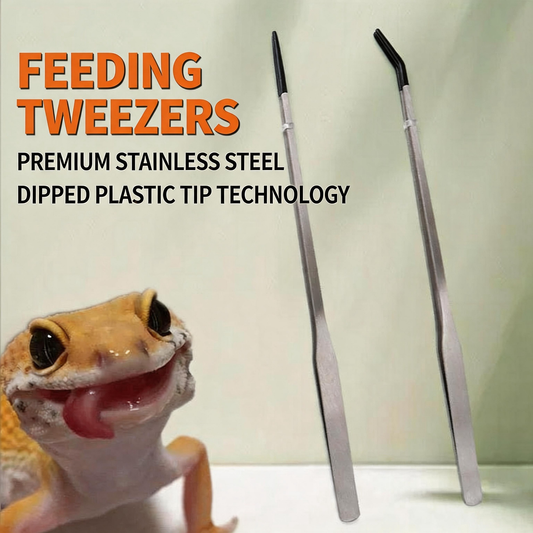 Stainless Steel Feeding Tweezers — 10" Straight & Curved (2-Pack)