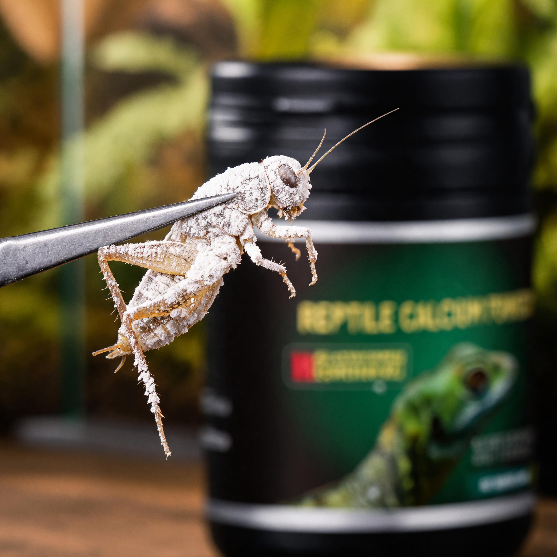 Reptile calcium supplement jar closeup