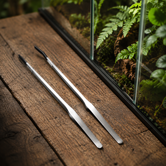 Stainless Steel Feeding Tweezers — 10" Straight & Curved (2-Pack)